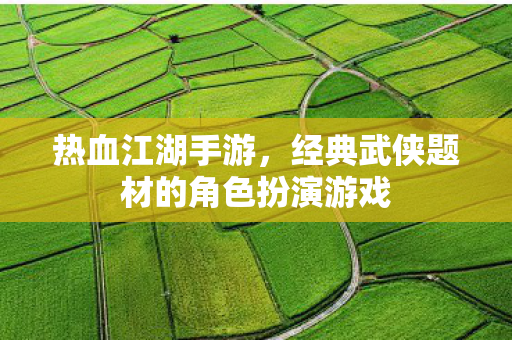经典武侠题材的角色扮演游戏图片