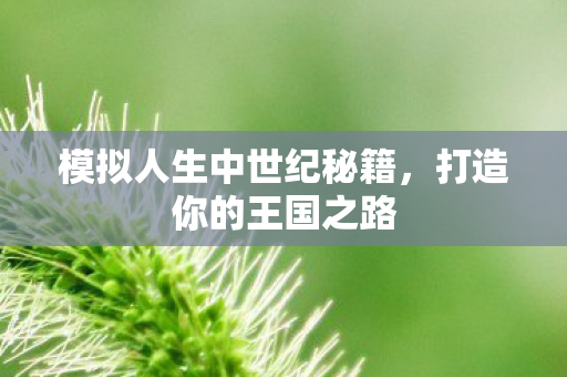 模拟人生中世纪秘籍,打造你的王国之路 模拟人生中世纪秘籍,打造你的王国之路