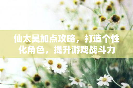 仙太昊加点攻略,打造个性化角色,提升游戏战斗力 仙太昊加点攻略,打造个性化角色,提升游戏战斗力