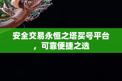 安全交易永恒之塔买号平台图片