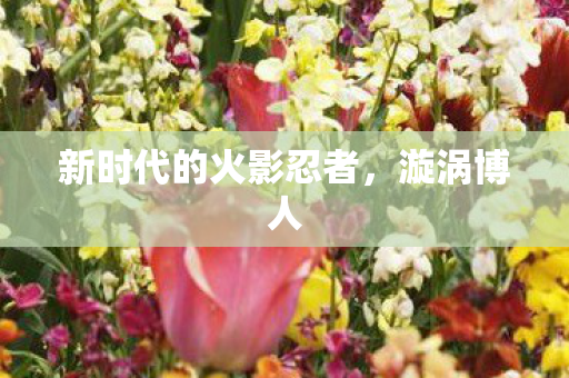 新时代的火影忍者，漩涡博人
