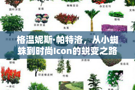 格温妮斯·帕特洛,从小蜘蛛到时尚Icon的蜕变之路 格温妮斯·帕特洛,从小蜘蛛到时尚Icon的蜕变之路