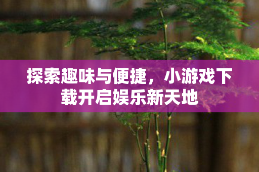 探索趣味与便捷，小游戏下载开启娱乐新天地
