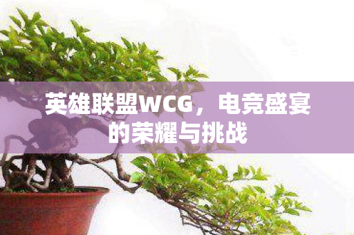英雄联盟WCG,电竞盛宴的荣耀与挑战 英雄联盟WCG,电竞盛宴的荣耀与挑战