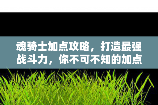 魂骑士加点攻略,打造最强战斗力,你不可不知的加点技巧! 魂骑士加点攻略,打造最强战斗力,你不可不知的加点技巧!