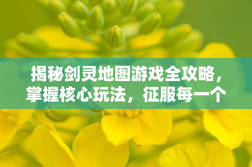 揭秘剑灵地图游戏全攻略图片