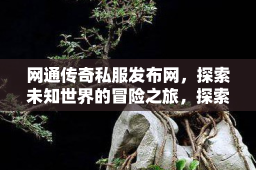 探索未知世界的冒险之旅图片