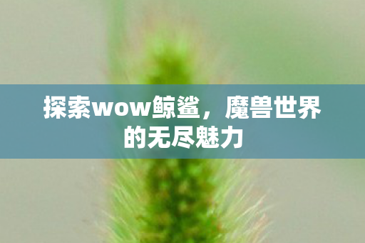探索wow鲸鲨,魔兽世界的无尽魅力 探索wow鲸鲨,魔兽世界的无尽魅力