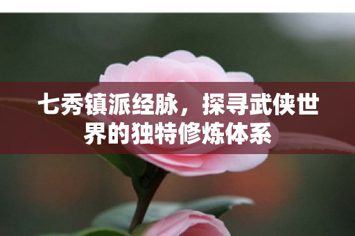 七秀镇派经脉,探寻武侠世界的独特修炼体系 七秀镇派经脉,探寻武侠世界的独特修炼体系