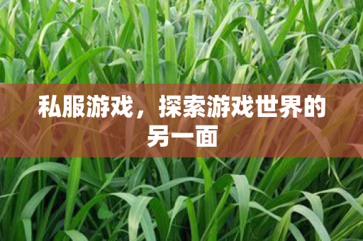 探索游戏世界的另一面图片