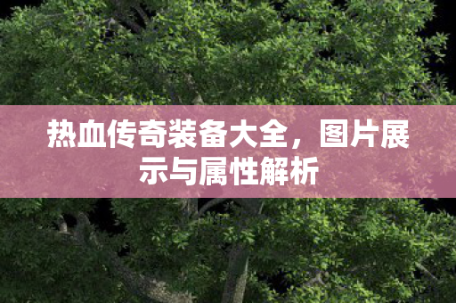 图片展示与属性解析图片