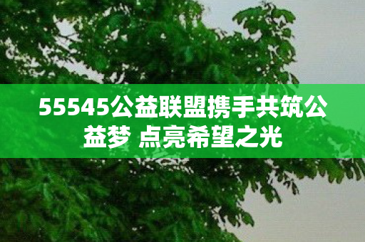 55545公益联盟携手共筑公益梦 点亮希望之光图片
