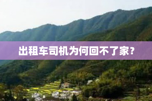 出租车司机为何回不了家图片