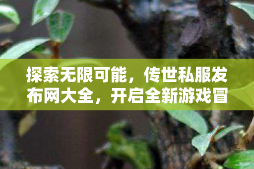 开启全新游戏冒险之旅图片