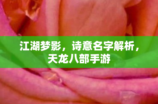 诗意名字解析图片