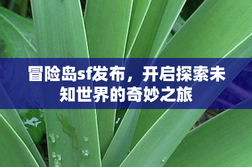 开启探索未知世界的奇妙之旅图片