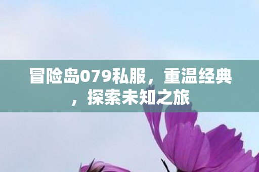 冒险岛079私服图片