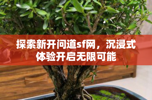 沉浸式体验开启无限可能图片