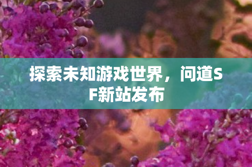 探索未知游戏世界图片