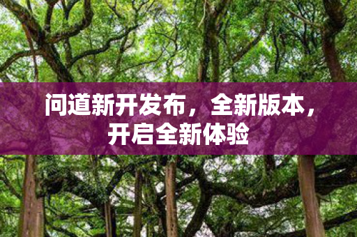 问道新开发布图片