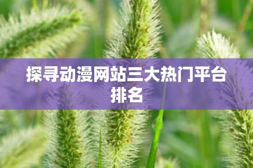 探寻动漫网站三大热门平台排名 探寻动漫网站三大热门平台排名