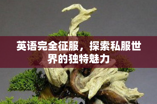 英语完全征服,探索私服世界的独特魅力 英语完全征服,探索私服世界的独特魅力