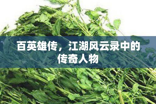 百英雄传，江湖风云录中的传奇人物