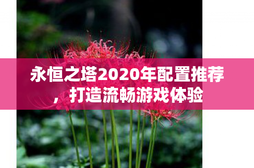 永恒之塔2020年配置推荐图片