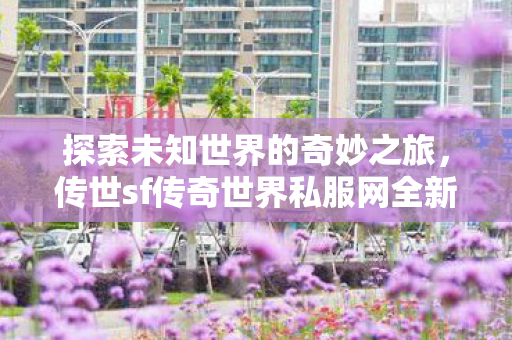 传世sf传奇世界私服网全新开启图片