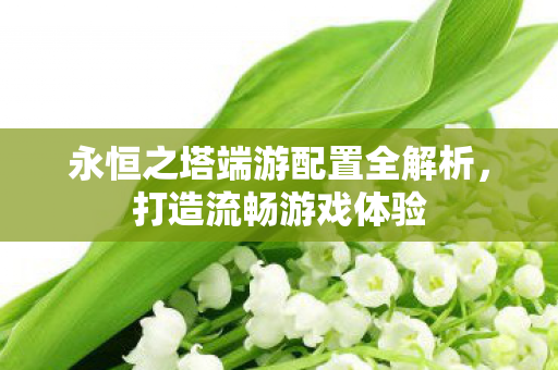永恒之塔端游配置全解析图片