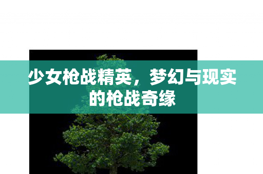 少女枪战精英，梦幻与现实的枪战奇缘
