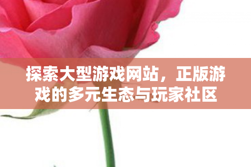 探索大型游戏网站,正版游戏的多元生态与玩家社区 探索大型游戏网站,正版游戏的多元生态与玩家社区
