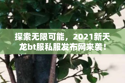探索无限可能,2021新天龙bt服私服发布网来袭! 探索无限可能,2021新天龙bt服私服发布网来袭!