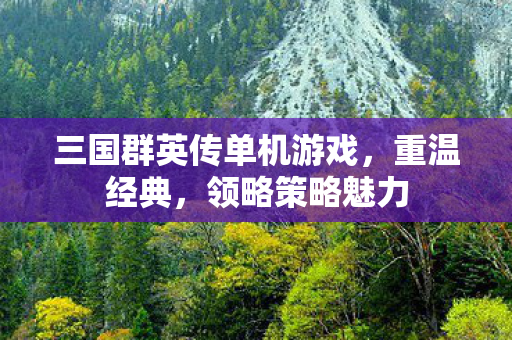 三国群英传单机游戏,重温经典,领略策略魅力 三国群英传单机游戏,重温经典,领略策略魅力