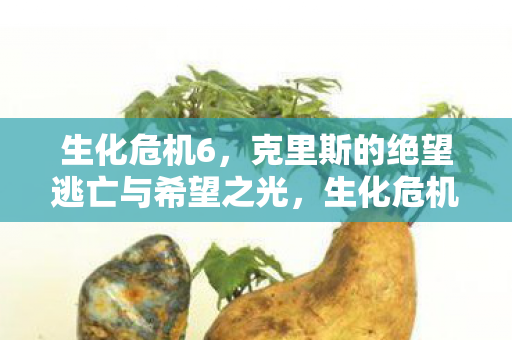 克里斯的绝望逃亡与希望之光图片