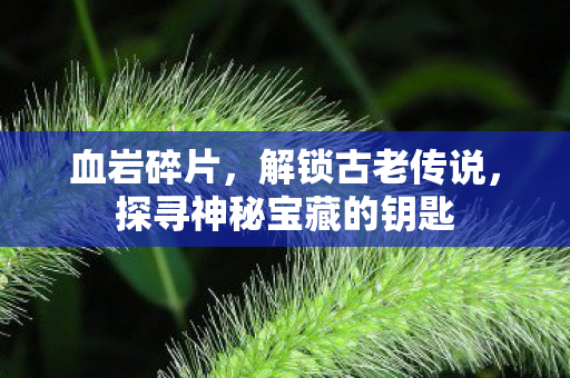 血岩碎片,解锁古老传说,探寻神秘宝藏的钥匙 血岩碎片,解锁古老传说,探寻神秘宝藏的钥匙