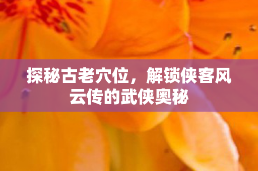 探秘古老穴位,解锁侠客风云传的武侠奥秘 探秘古老穴位,解锁侠客风云传的武侠奥秘