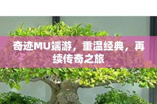 奇迹MU端游，重温经典，再续传奇之旅