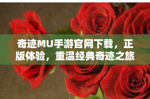 奇迹MU手游官网下载,正版体验,重温经典奇迹之旅 奇迹MU手游官网下载,正版体验,重温经典奇迹之旅