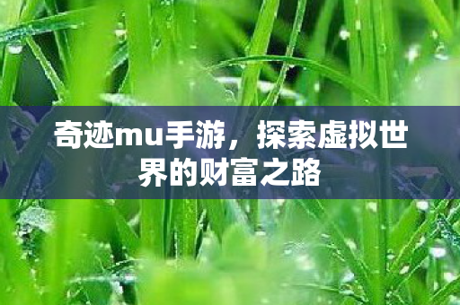 奇迹mu手游,探索虚拟世界的财富之路 奇迹mu手游,探索虚拟世界的财富之路