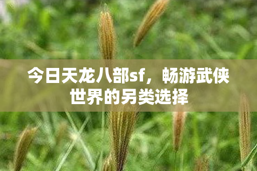今日天龙八部sf,畅游武侠世界的另类选择 今日天龙八部sf,畅游武侠世界的另类选择