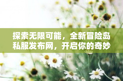 全新冒险岛私服发布网图片