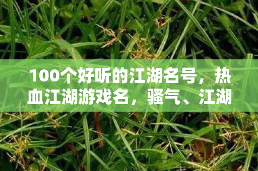 100个好听的江湖名号图片