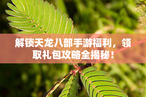 解锁天龙八部手游福利图片