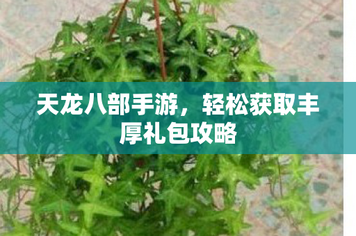 轻松获取丰厚礼包攻略图片
