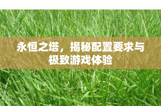 揭秘配置要求与极致游戏体验图片