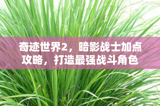 奇迹世界2,暗影战士加点攻略,打造最强战斗角色 奇迹世界2,暗影战士加点攻略,打造最强战斗角色