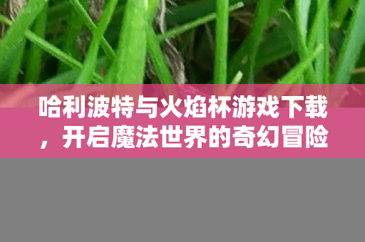 哈利波特与火焰杯游戏下载，开启魔法世界的奇幻冒险之旅