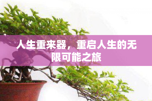 人生重来器，重启人生的无限可能之旅