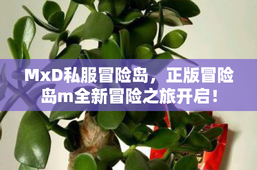 正版冒险岛m全新冒险之旅开启图片